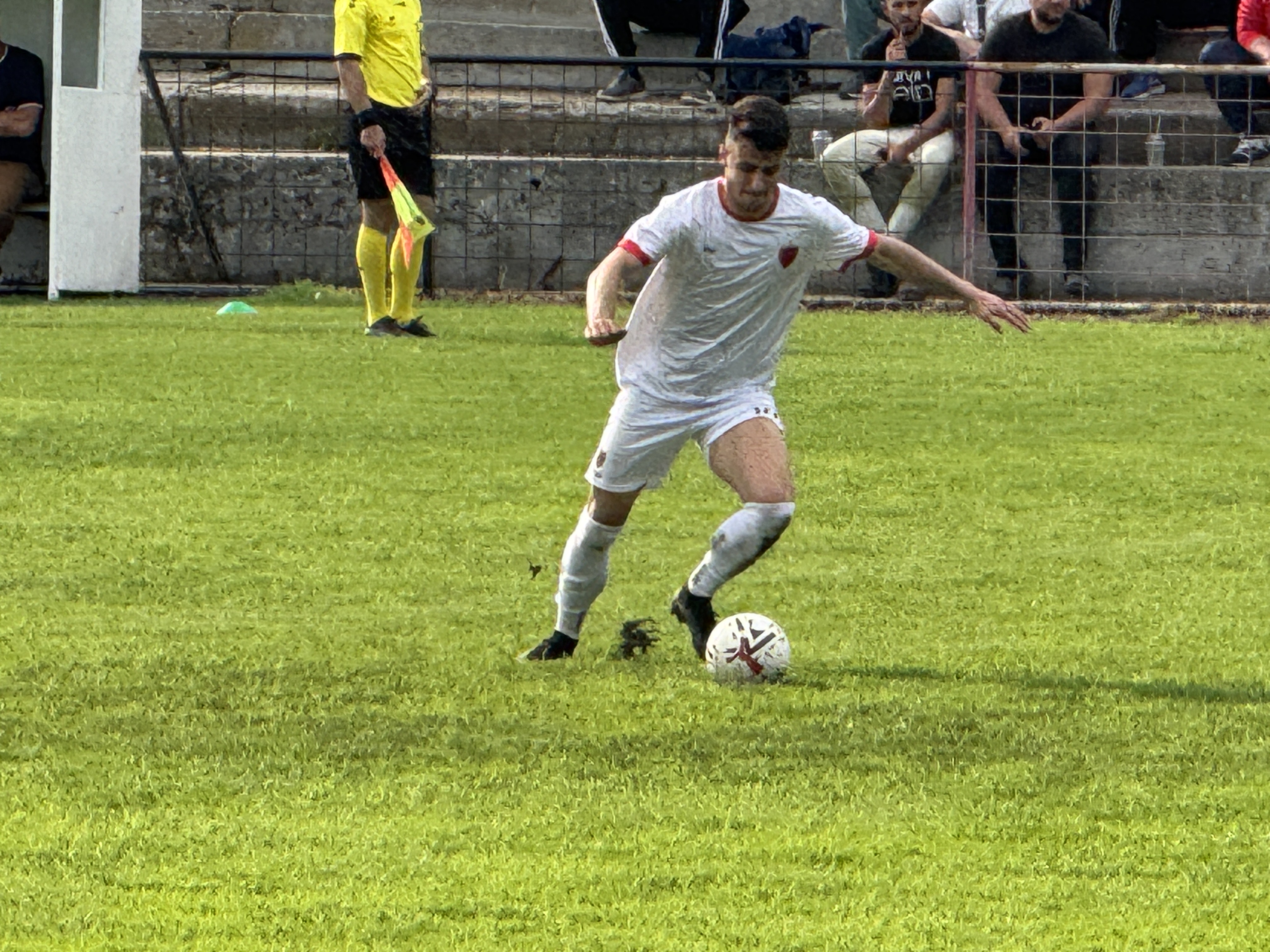 IMG 7237