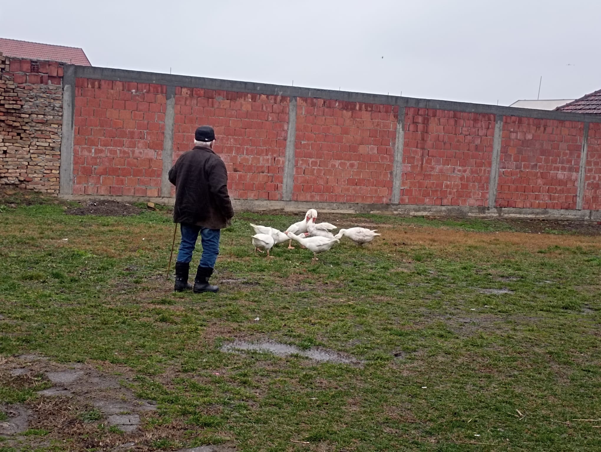 29d31557 832d 46a0 85ae bd3c0a3d2478