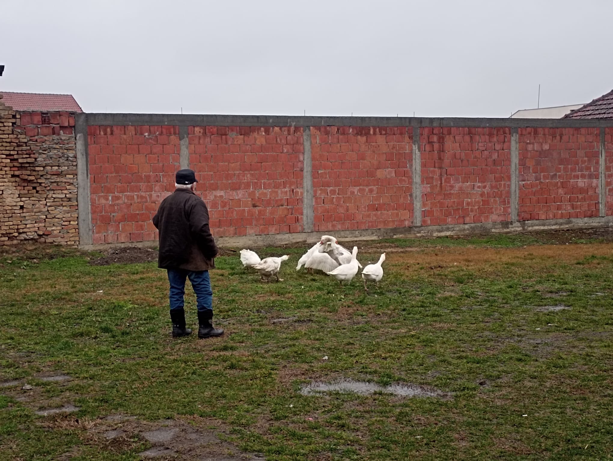 7d45cff0 b151 4eb3 8d21 0302be82d441