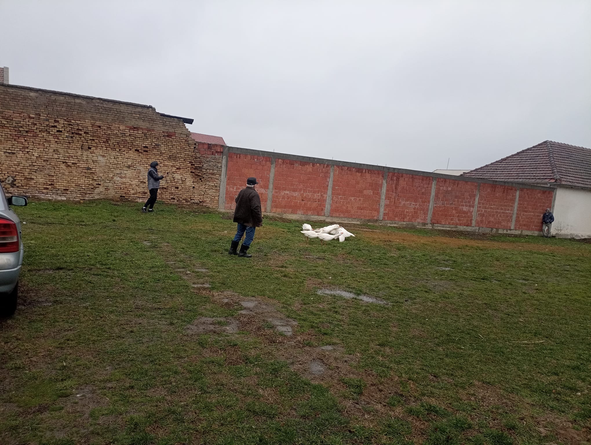 8733d1c4 05a8 4e5f 90d3 9036f6941e9d