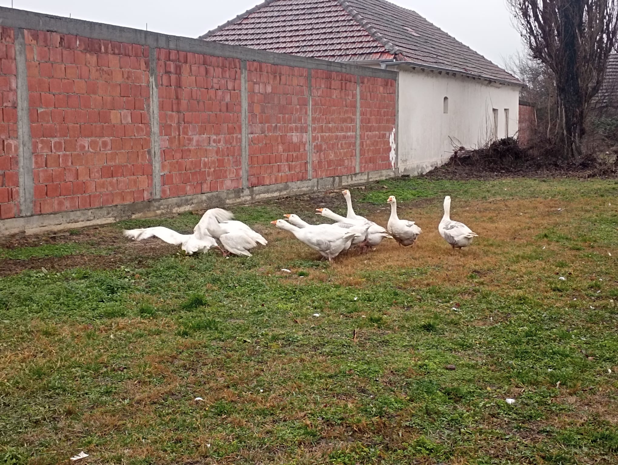 f4da5086 4f88 476d bb66 5c7f89135bb2